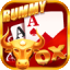 rummy coach